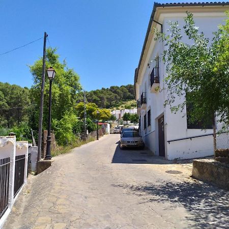 Apartament Vivienda Majaceite El Bosque Zewnętrze zdjęcie