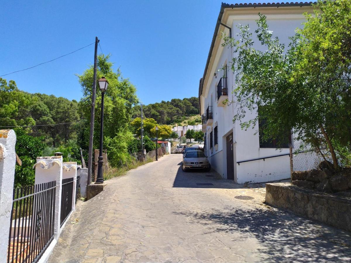 Apartament Vivienda Majaceite El Bosque Zewnętrze zdjęcie