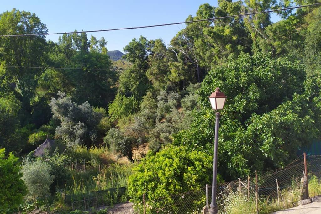 Apartament Vivienda Majaceite El Bosque Zewnętrze zdjęcie